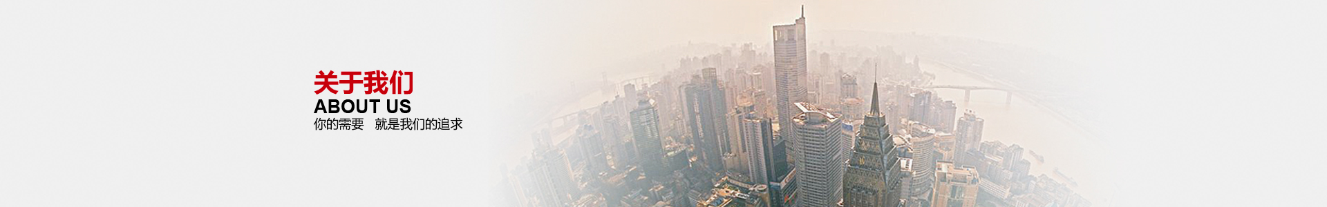 關(guān)于我們你的需要就是我們的追求