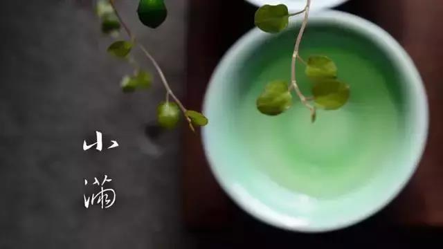 小滿小滿，麥粒漸滿