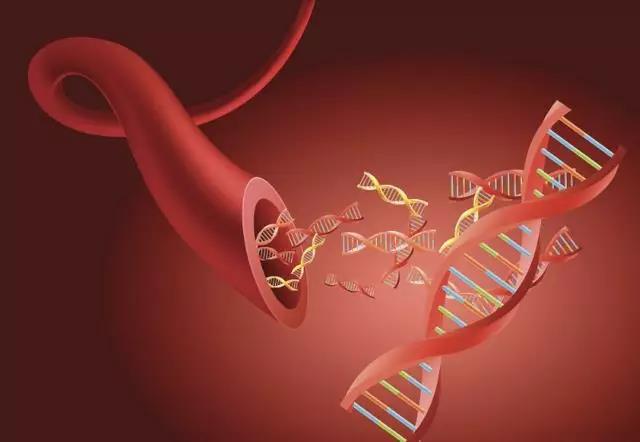 體感振動(dòng)音樂(lè)療法與血液循環(huán)