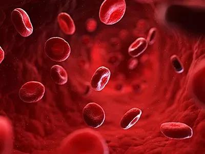 體感振動(dòng)音樂(lè)療法與血液循環(huán)