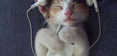 希望振奮精神的時候